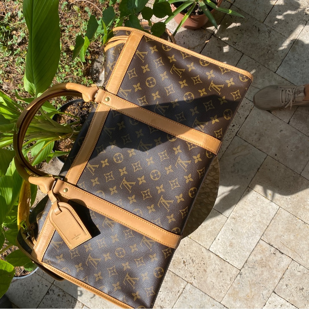 Louis Vuitton Pet Carrier - Picture 13 of 15